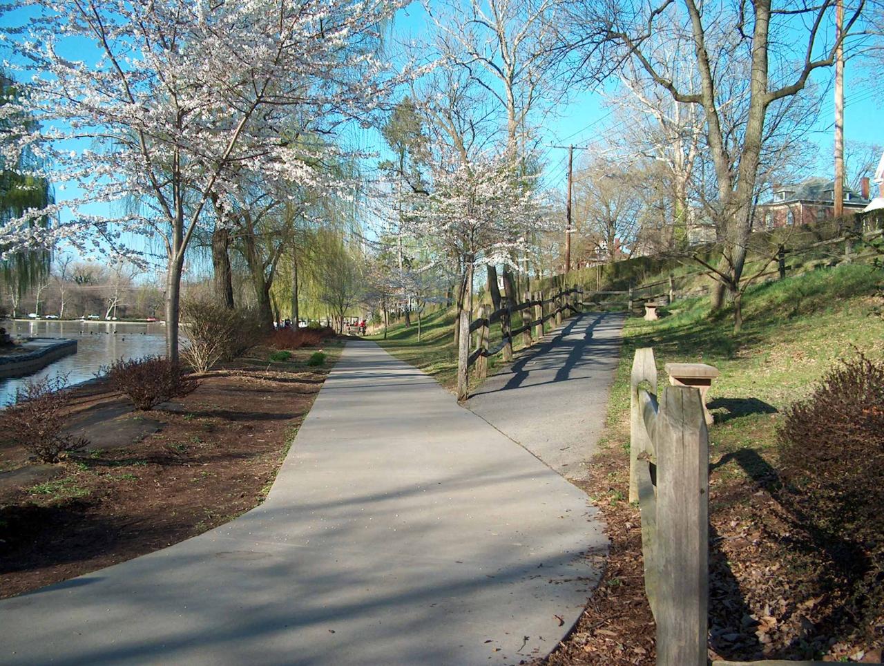Local parks with well-maintained walking trails and picnic areas