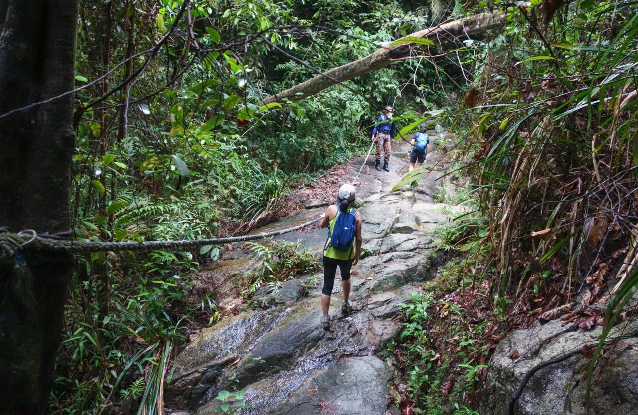 Find the best hiking spots near me with minimal elevation gain