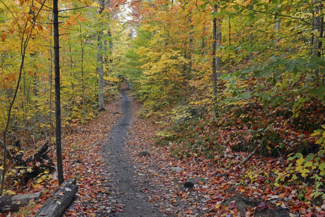 Great hiking spots near me with panoramic views and waterfalls