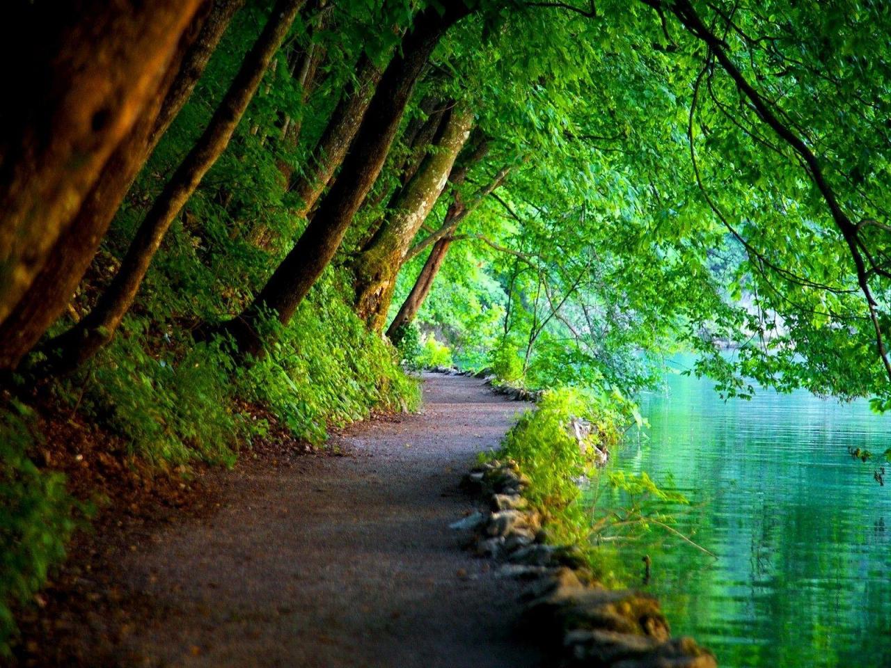 Peaceful Quiet walking trails near me away from crowds