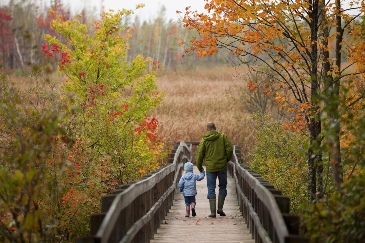 Scenic walking trails near me for a peaceful stroll