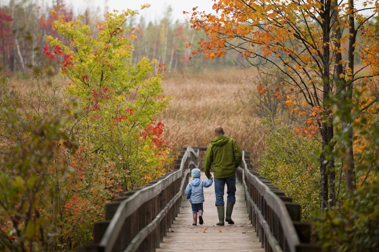 Best hiking trails near me for families with young children