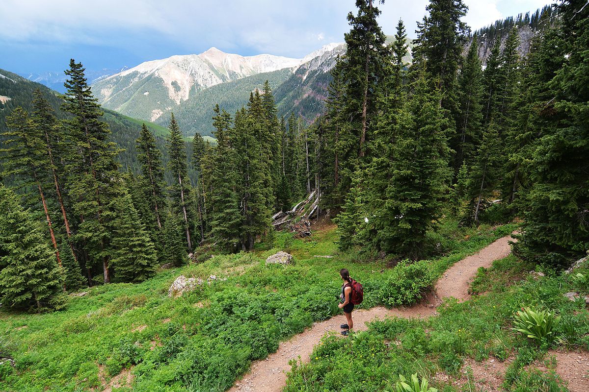 Best hiking trails near me for beginners with panoramic vistas