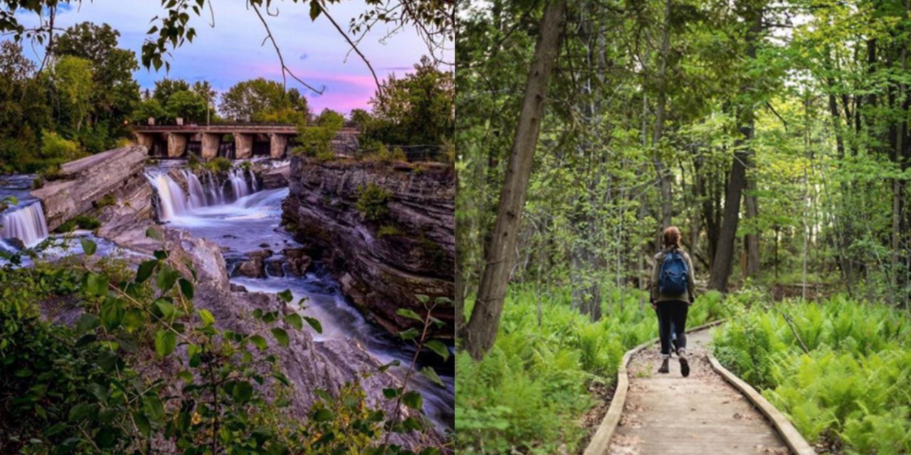 Find the best hiking spots near me with minimal elevation gain