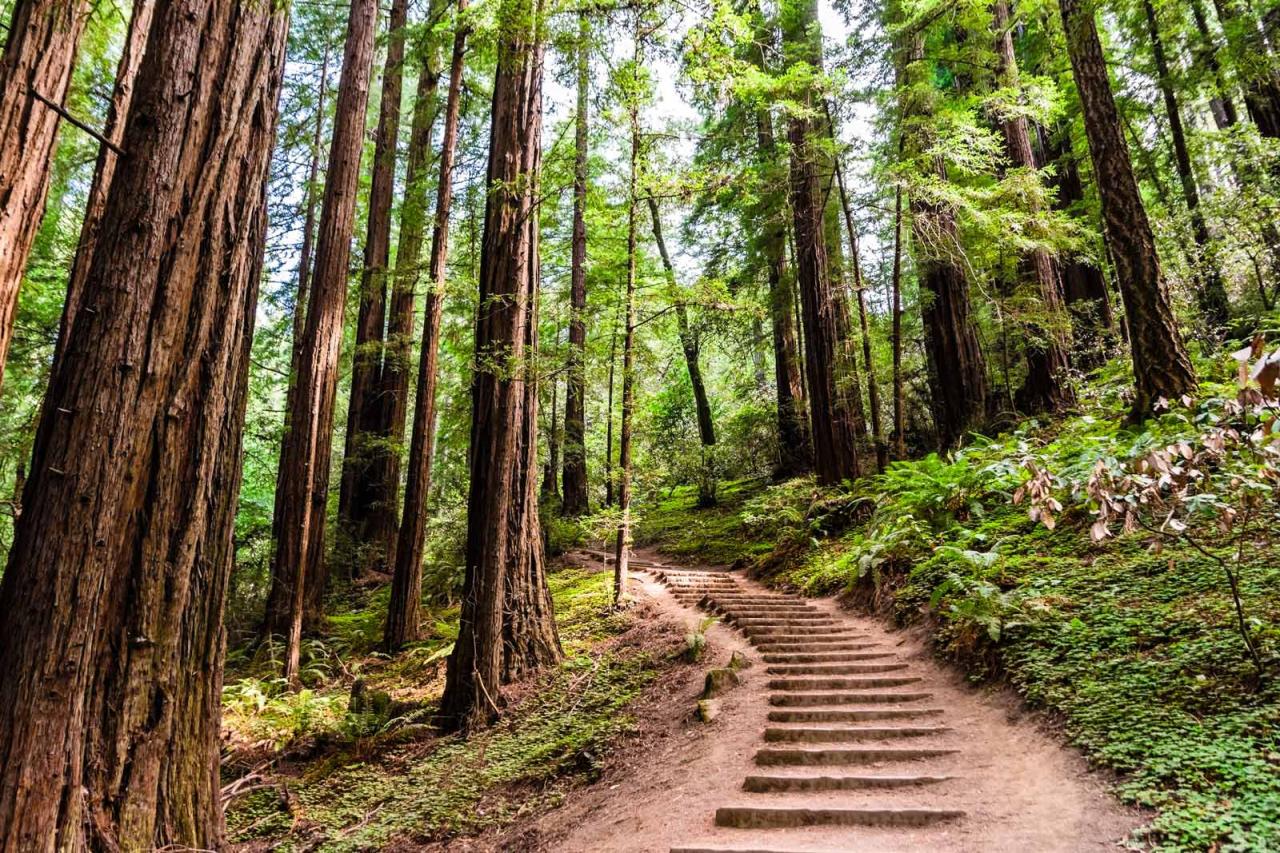 Massachusetts trails jamaica senderismo rutas wundersames skurriles planetware emerald Best parks near me with well-maintained walking trails