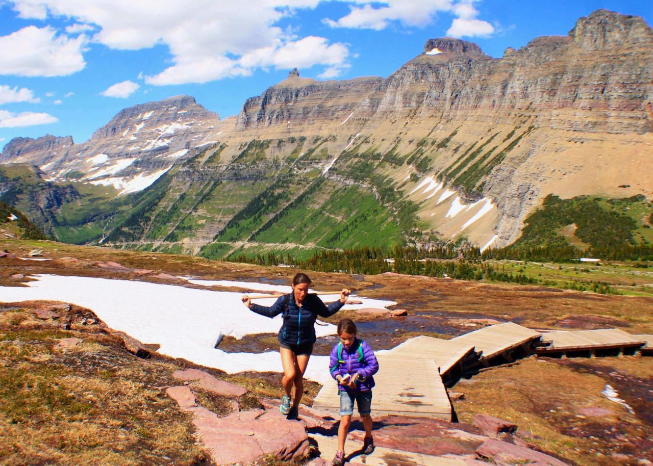 Glacier national hikes overlook Best scenic waterfall hikes in Glacier National Park