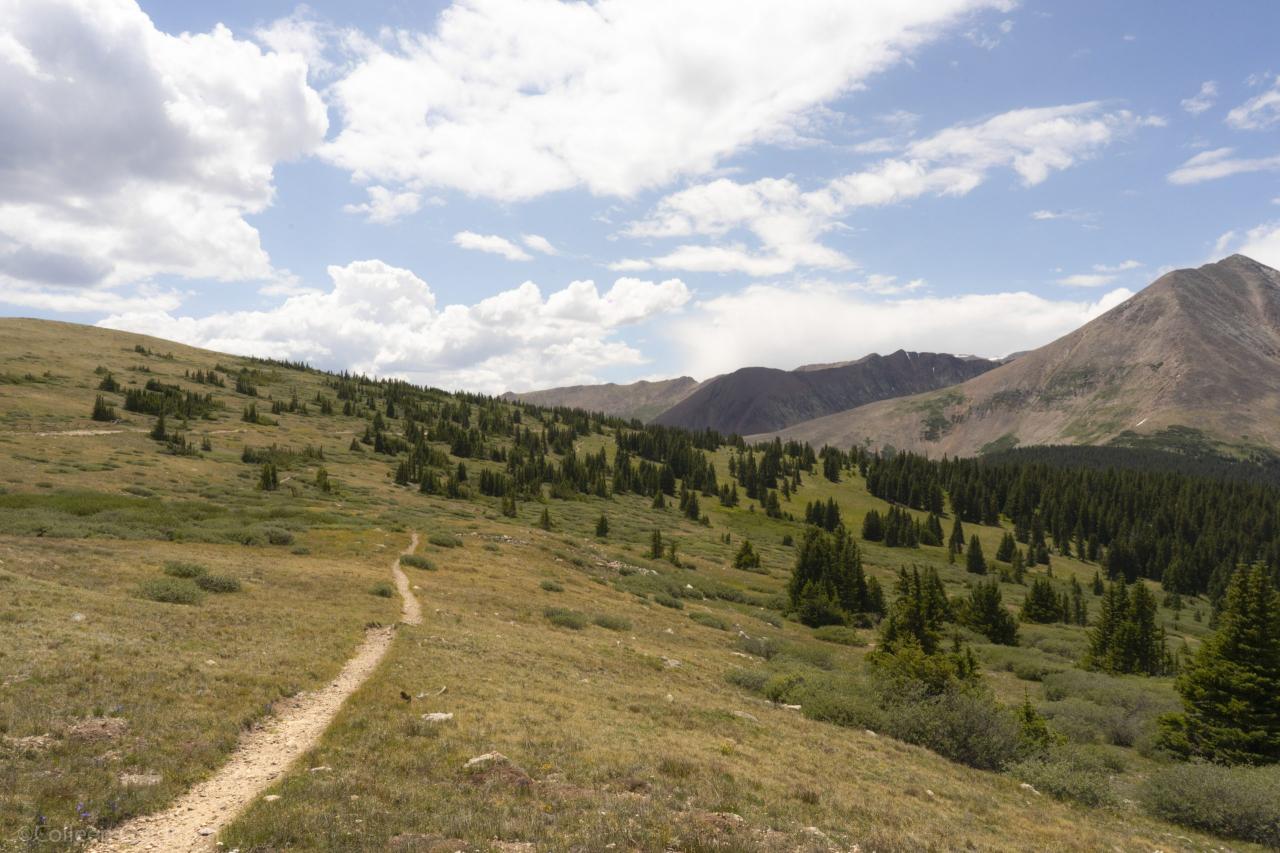 Find the best hiking spots near me with elevation gain