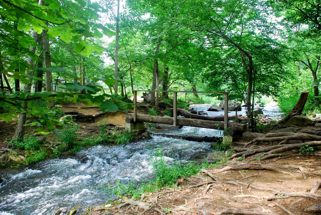 Best hiking trails near me for families with young children