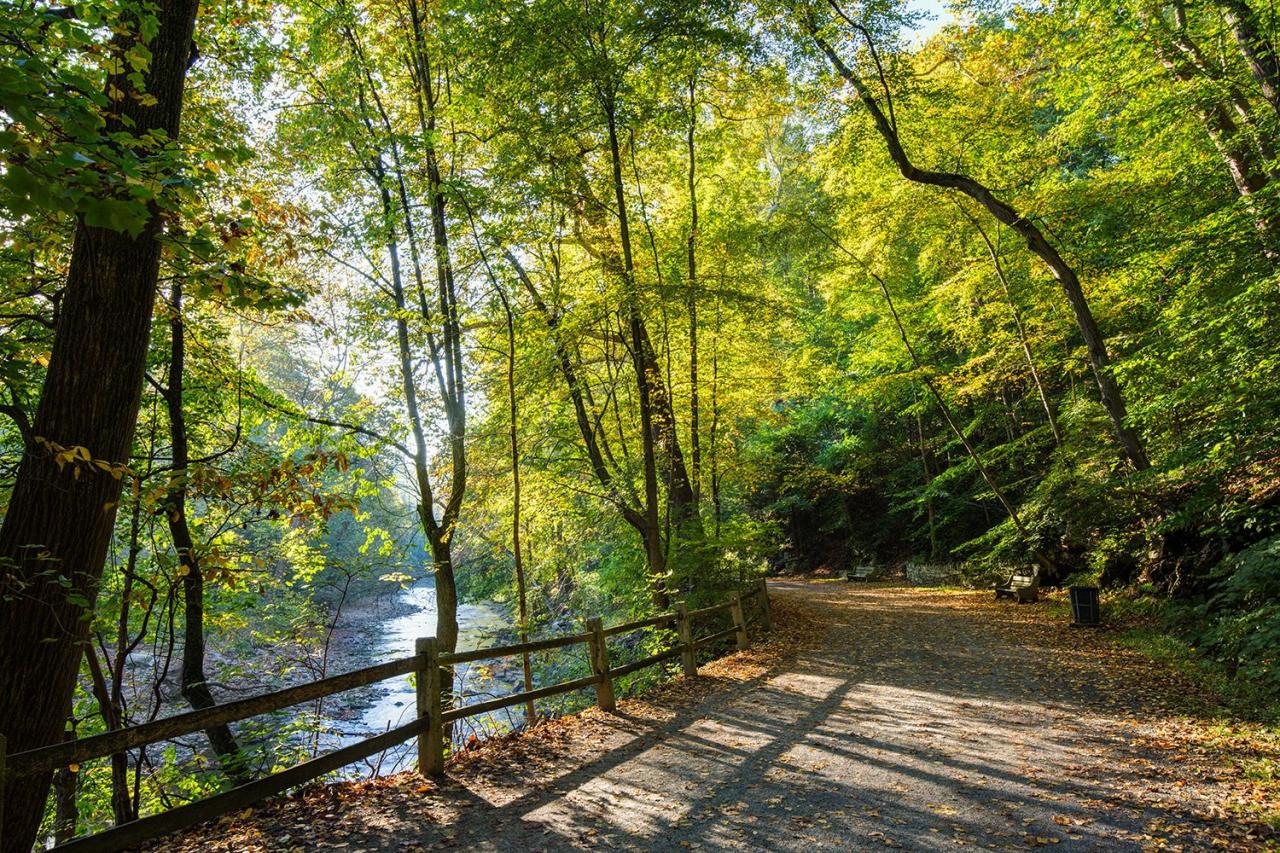 Nature path trail forest background beautiful pathway countryside natural scenic woods scenery peaceful summer outdoor scene garden landscape green trees Nature path trail forest background beautiful pathway countryside natural scenic woods scenery peaceful summer outdoor scene garden landscape green trees