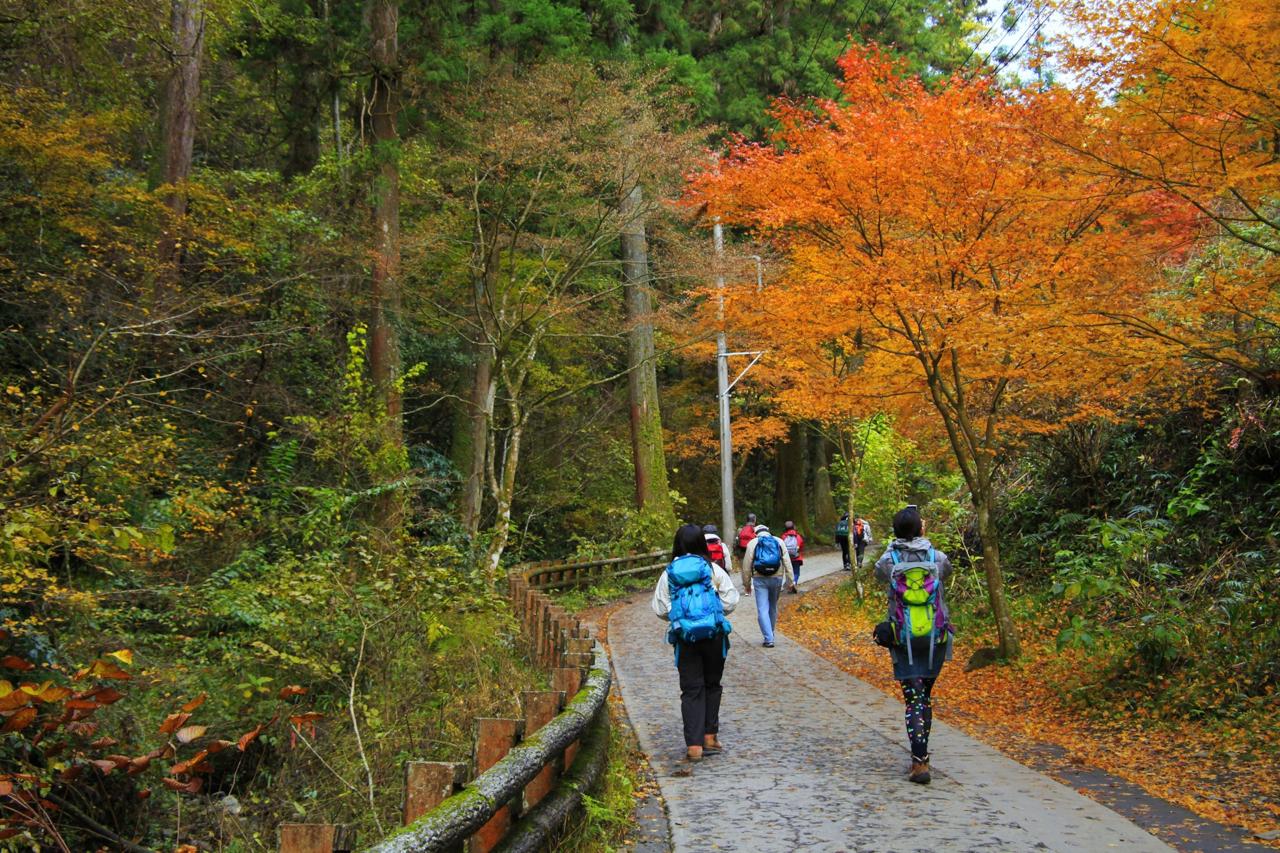 Trails forests juan announcement applauds easier grasslands lakes Scenic hiking trails near me with minimal elevation gain