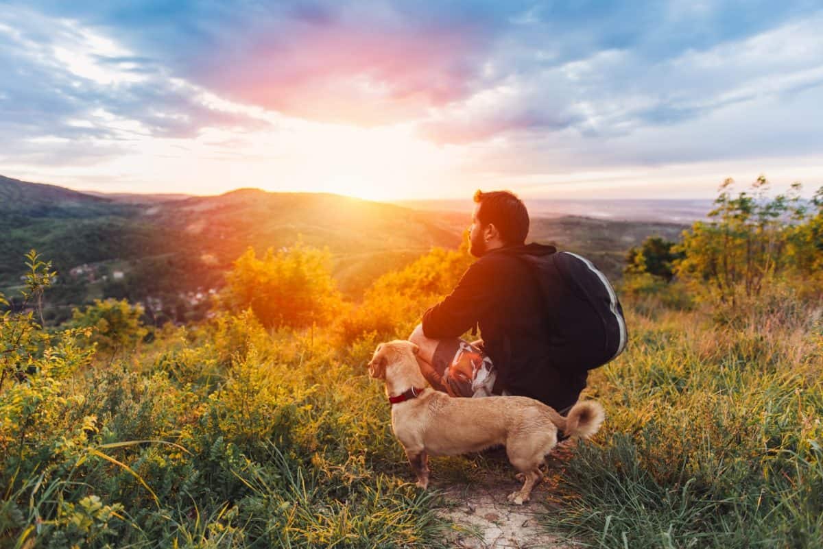 Dog-friendly hiking trails near me with shaded areas