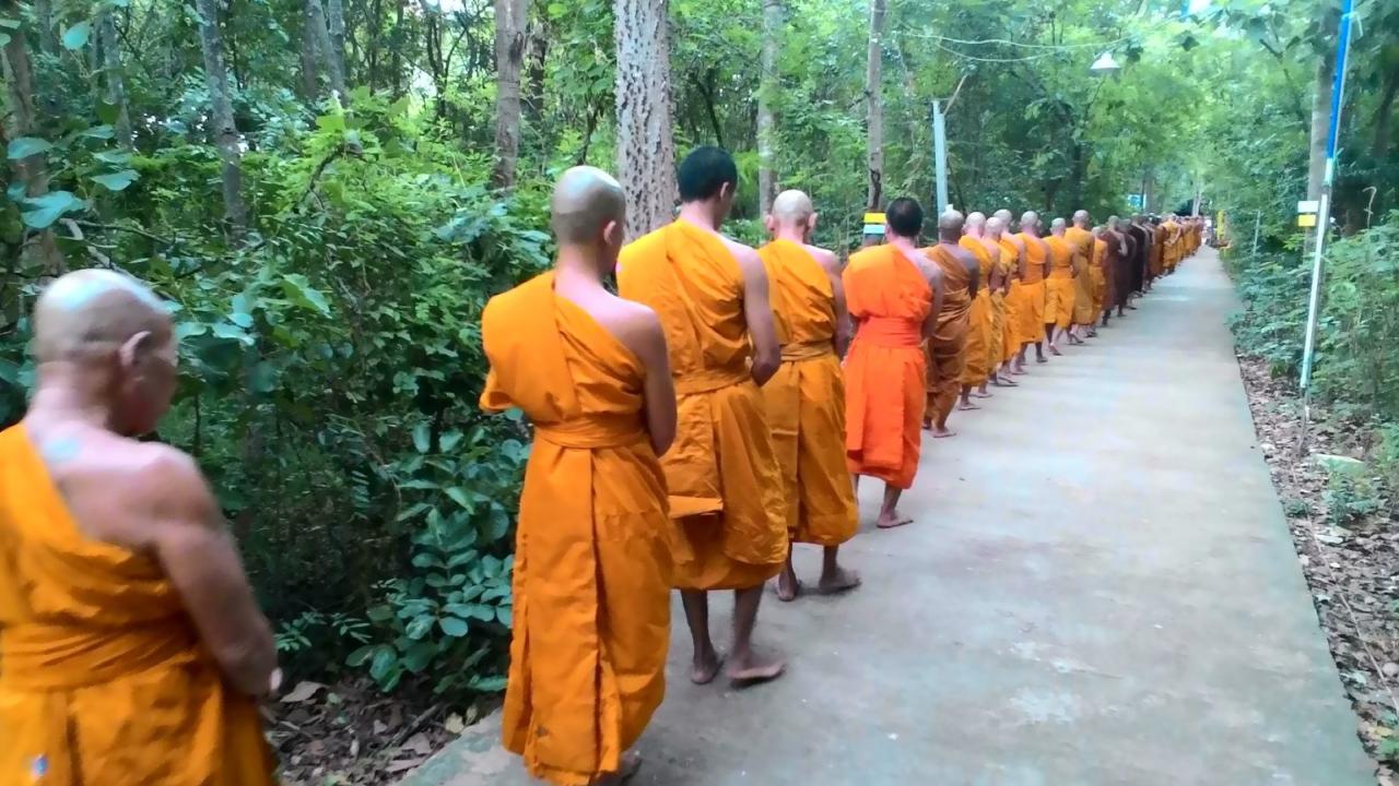Quiet and peaceful walking trails near me for meditation