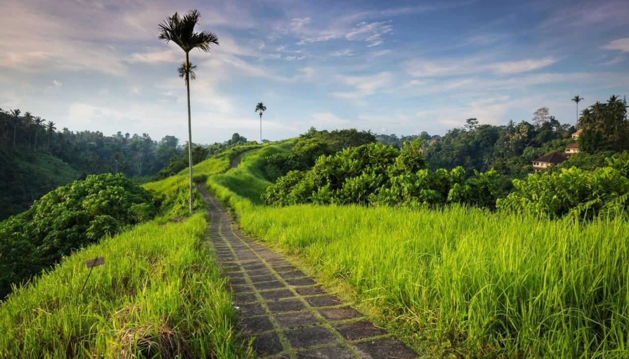 Challenging mountain hikes near me with breathtaking scenery
