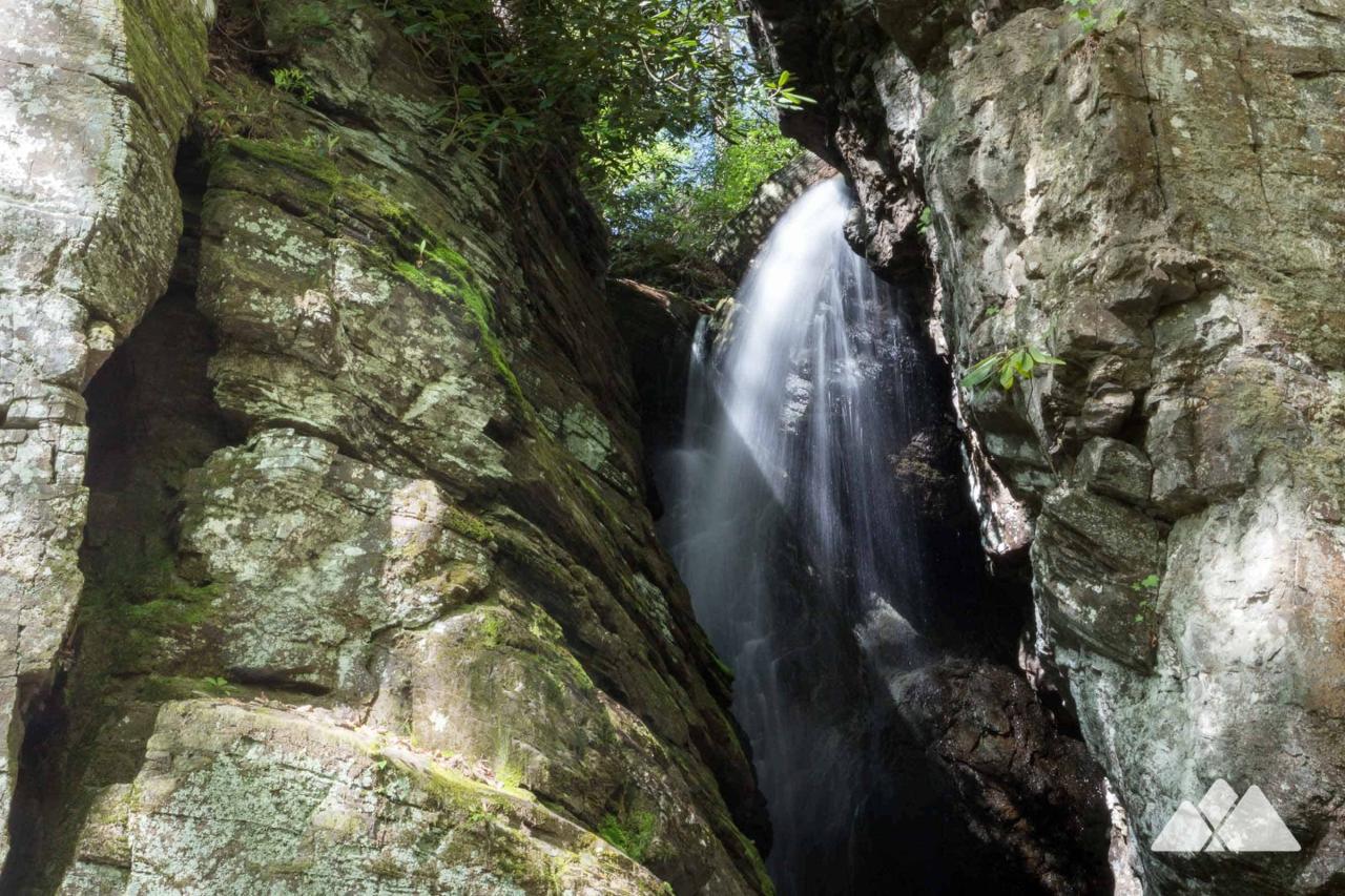 Good hiking spots near me suitable for dogs
