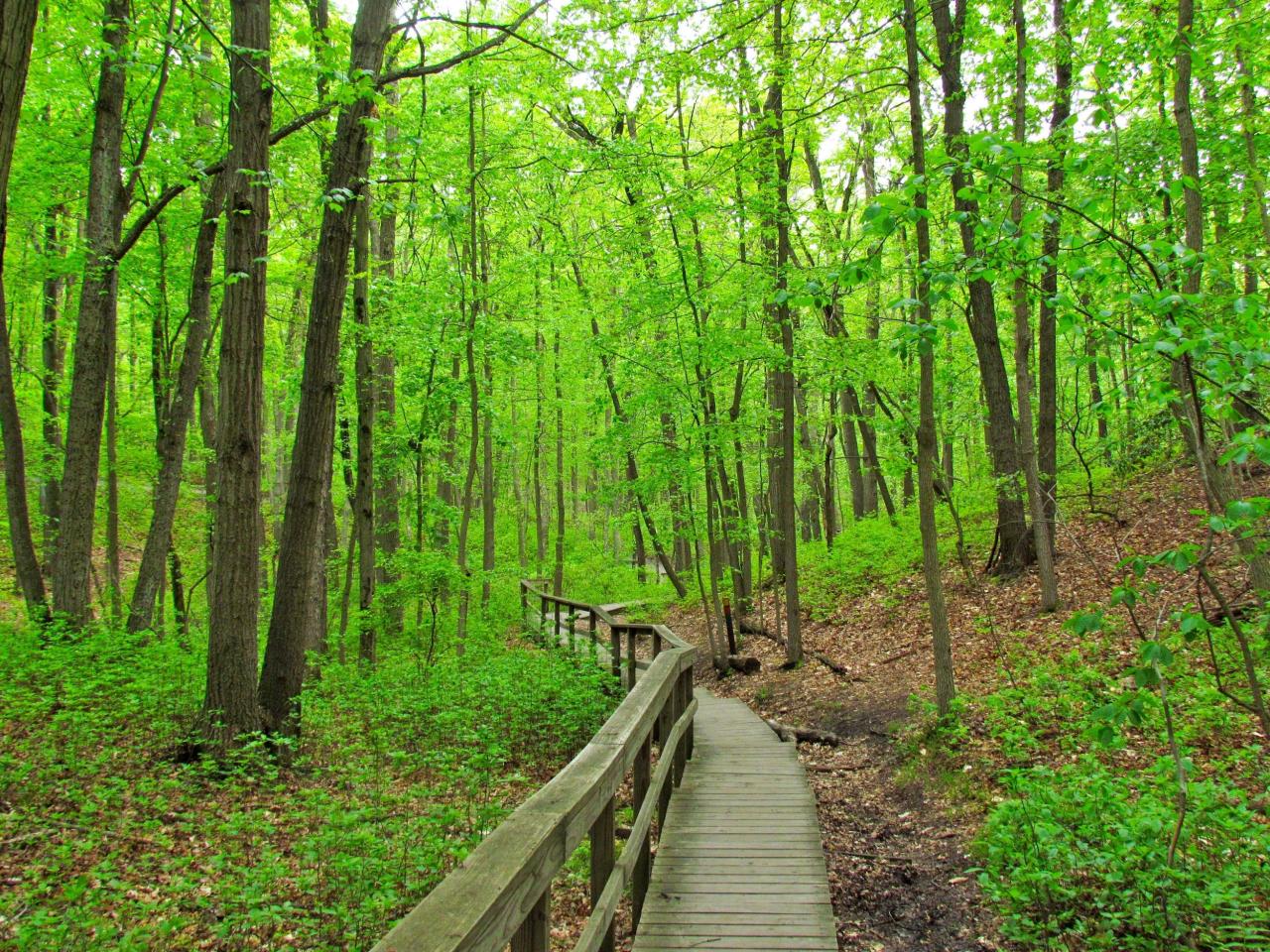Nearby hiking trails with historical significance or landmarks