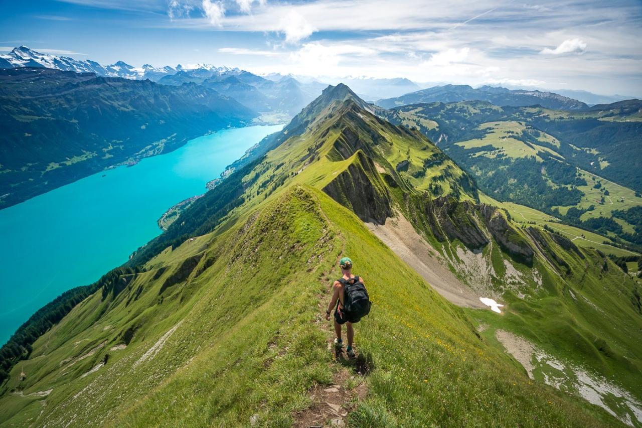 Top-rated hiking trails near me with stunning scenery