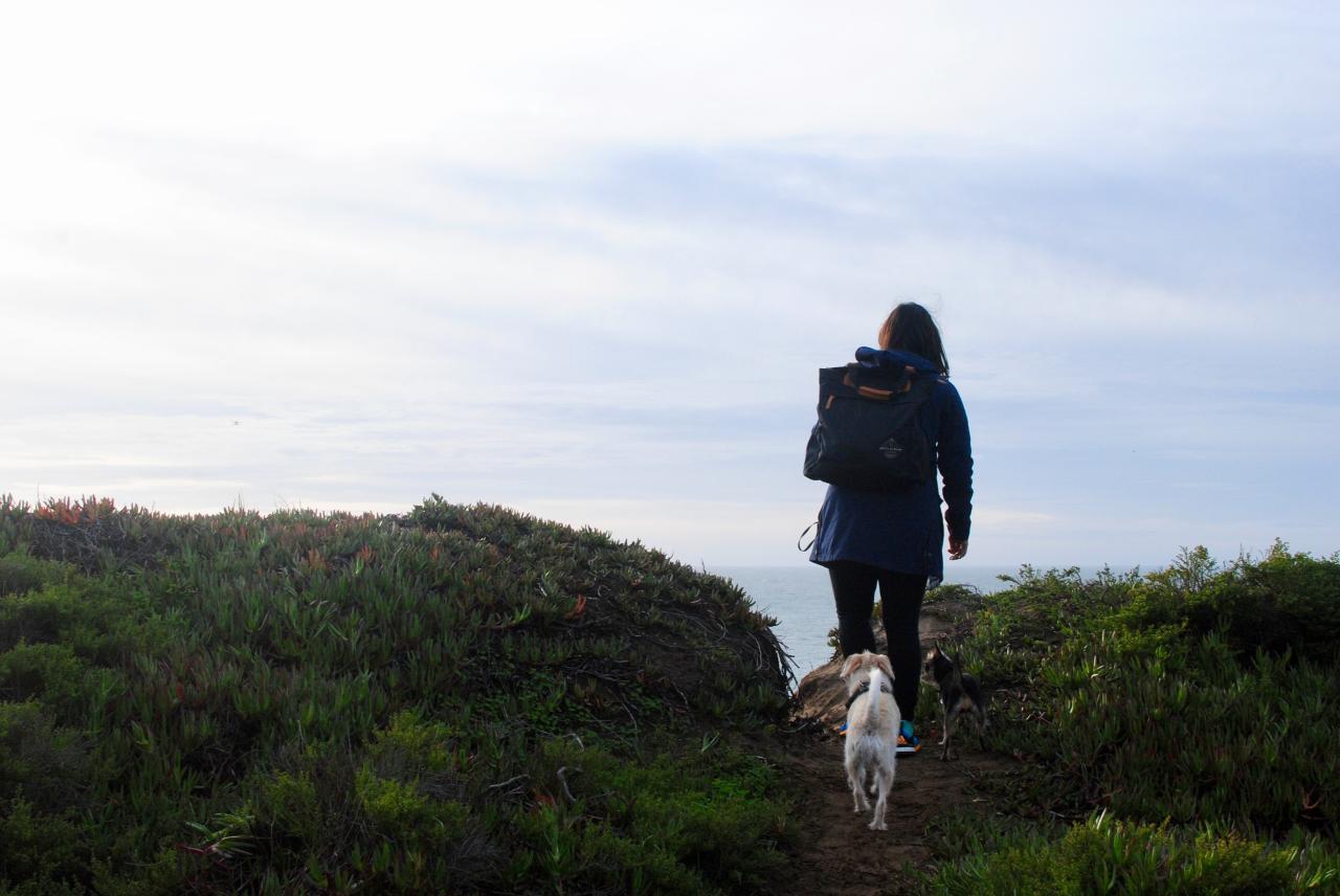 Find scenic walking trails near me with dog-friendly options