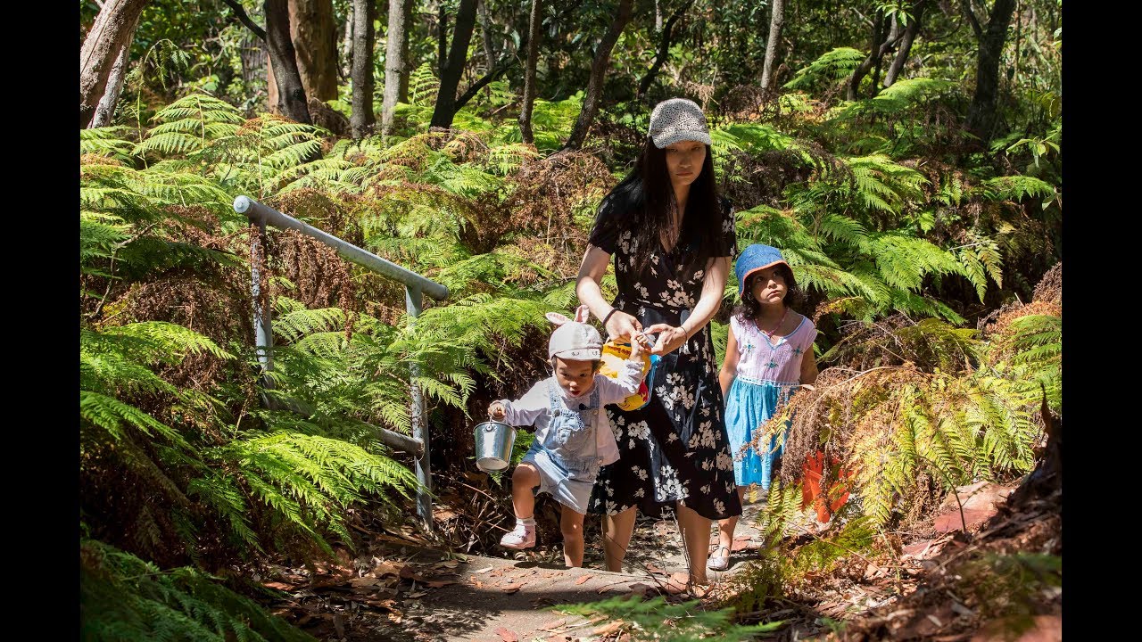 Family-friendly nature walks with paved paths nearby