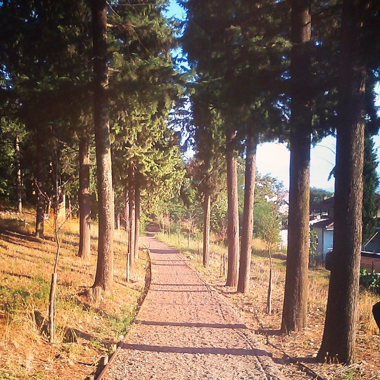 Peaceful nature trails near me for a relaxing walk