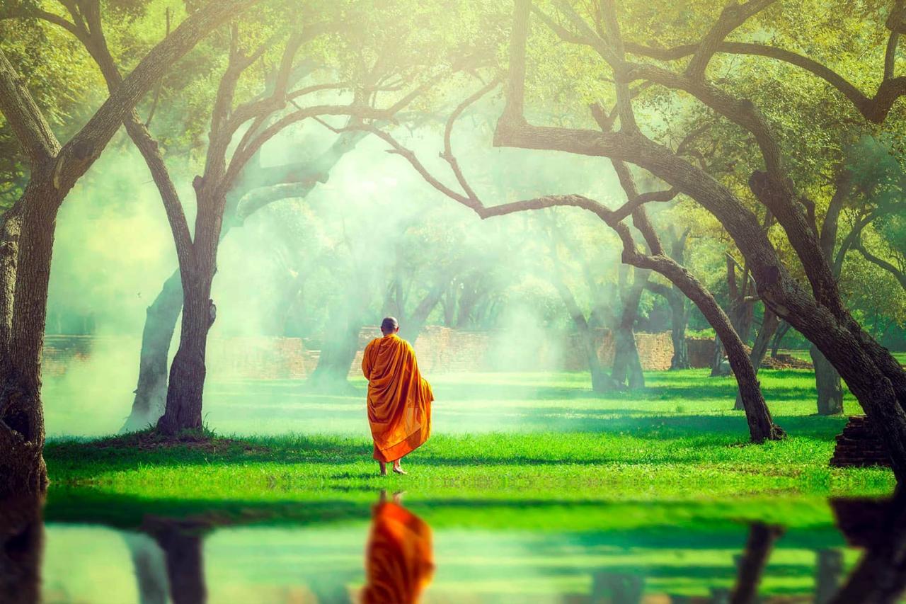 Meditation meditating observe slow Meditation meditating observe slow