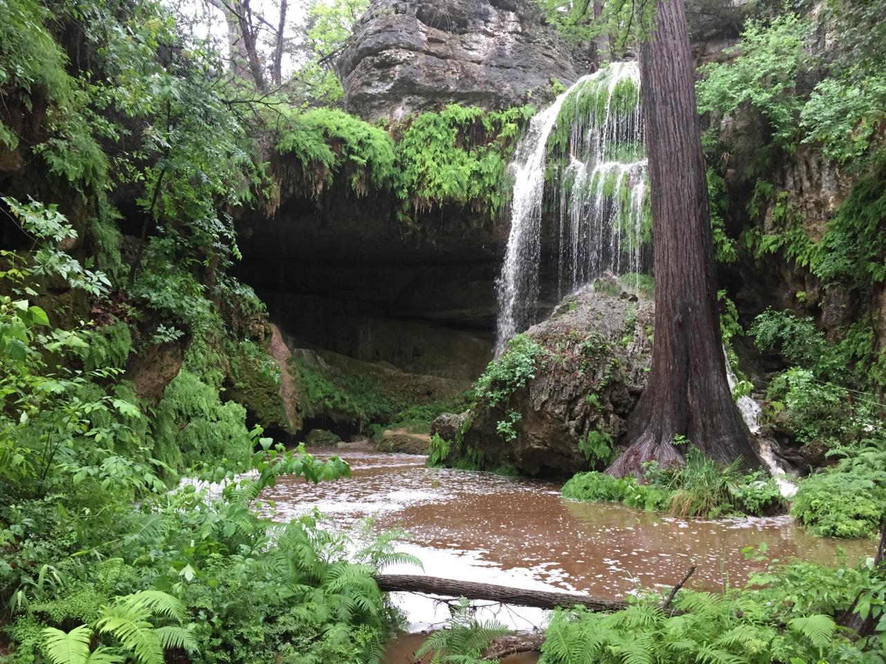 Top-rated hiking trails near me with stunning scenery