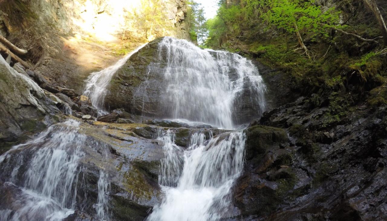 Easy to moderate hiking trails near me with shaded areas