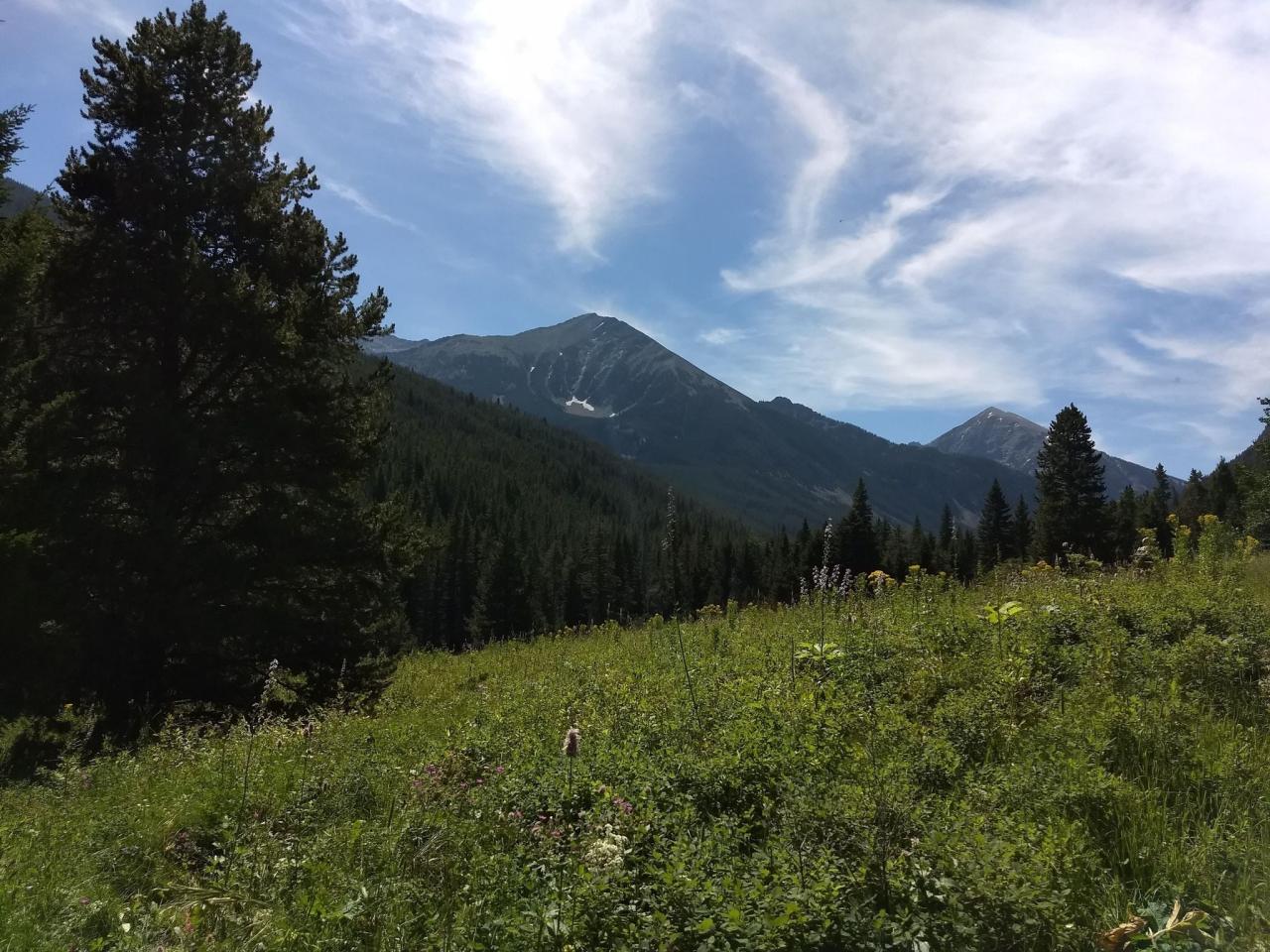 Discover hidden gems: nearby hiking trails less crowded