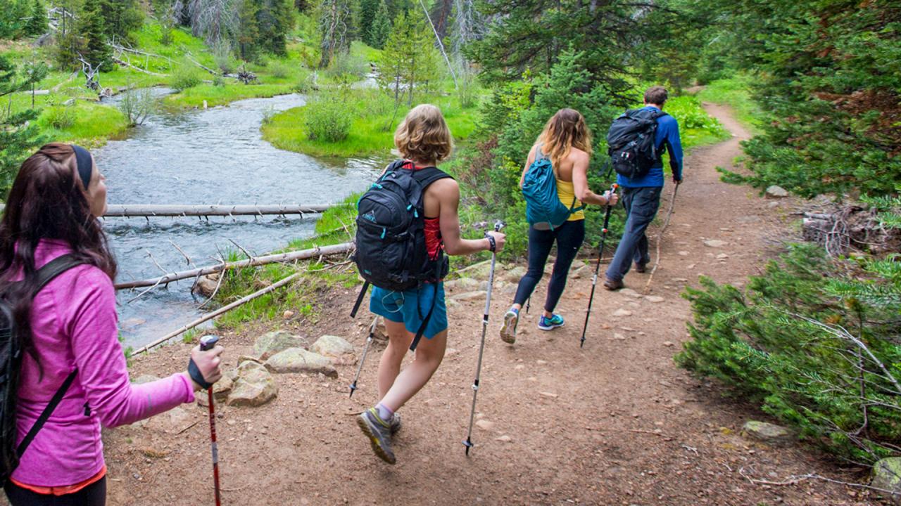 Nearby hiking trails with opportunities for wildlife spotting