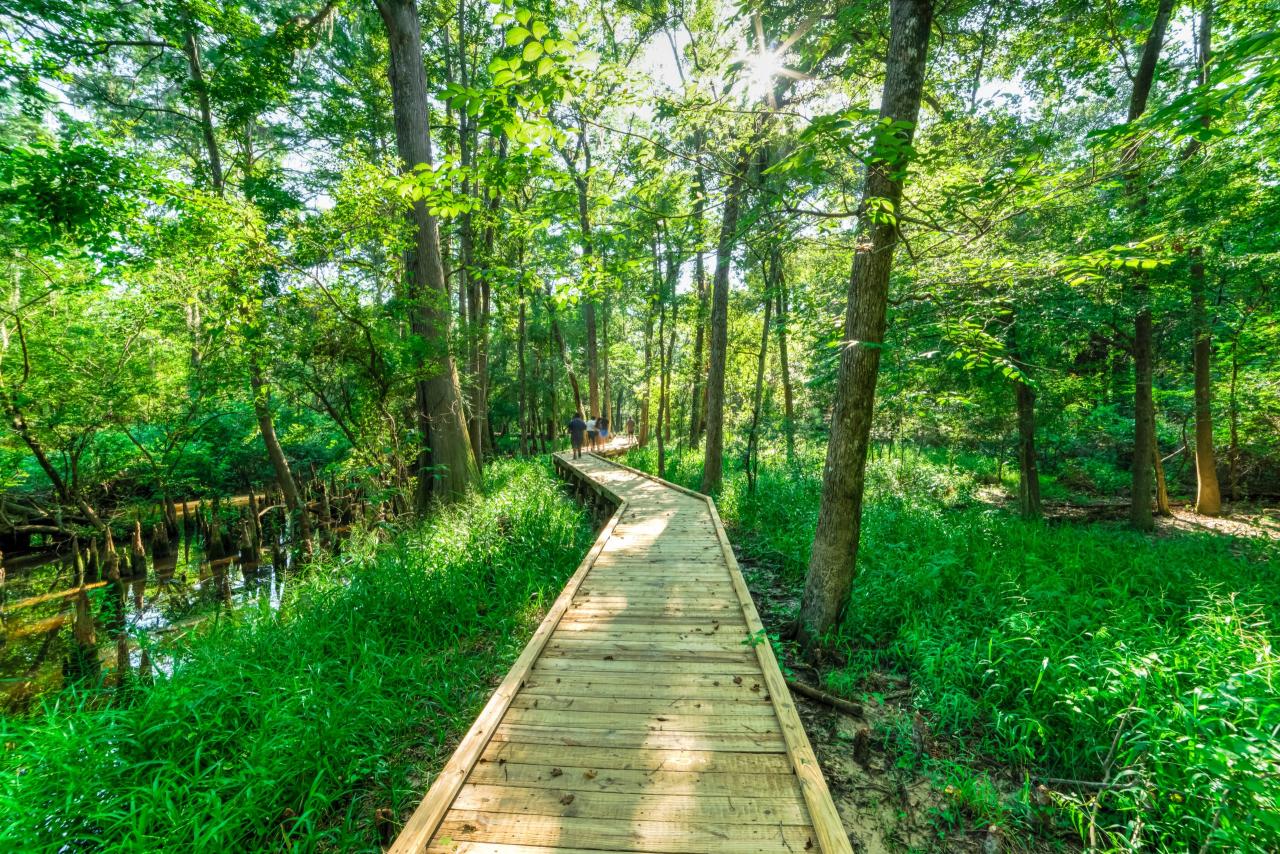 Short and easy walking trails near me suitable for families