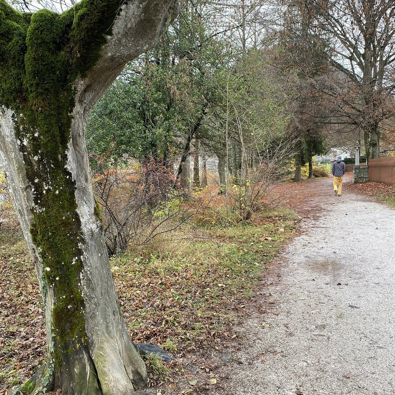 Local parks with well-maintained walking trails and picnic areas